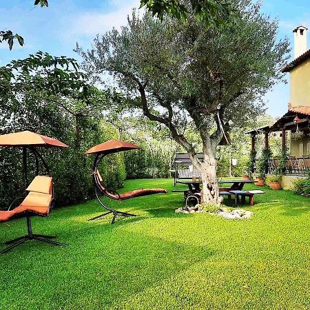 Vintage Home Nikiti  Luaran gambar