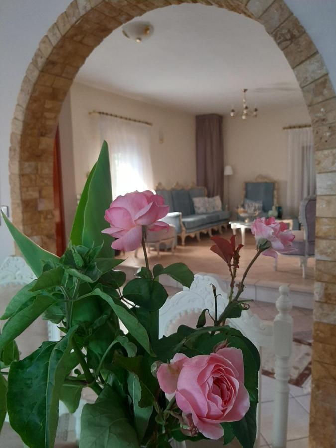 Vintage Home Nikiti  Luaran gambar