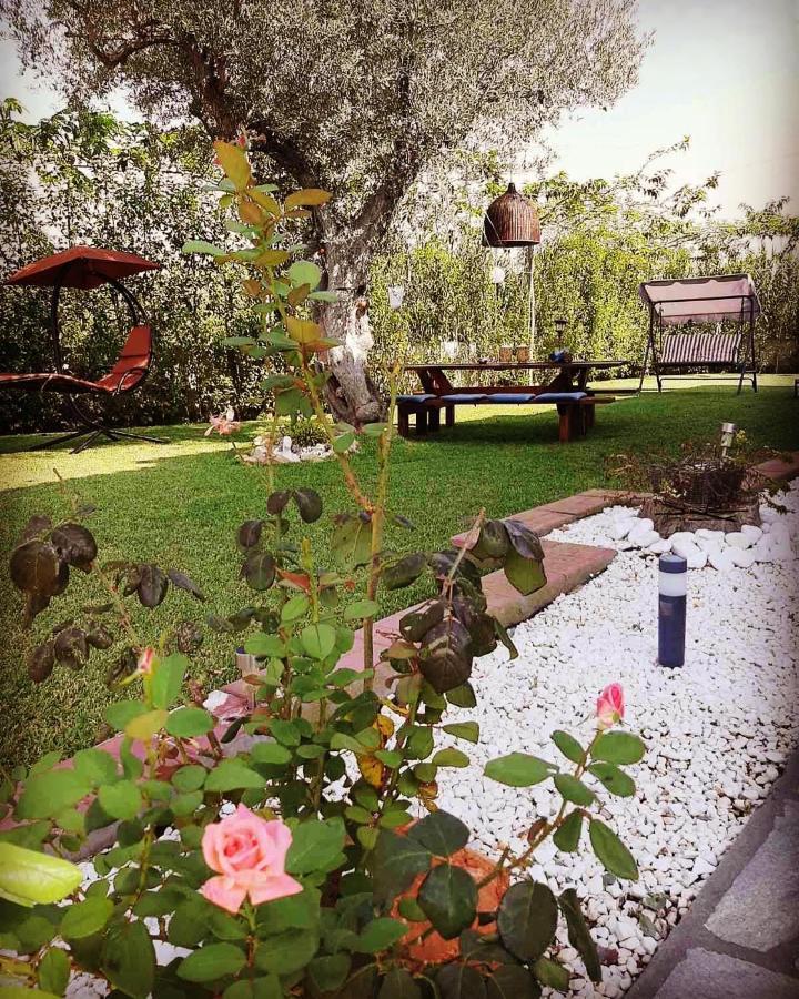 Vintage Home Nikiti  Luaran gambar